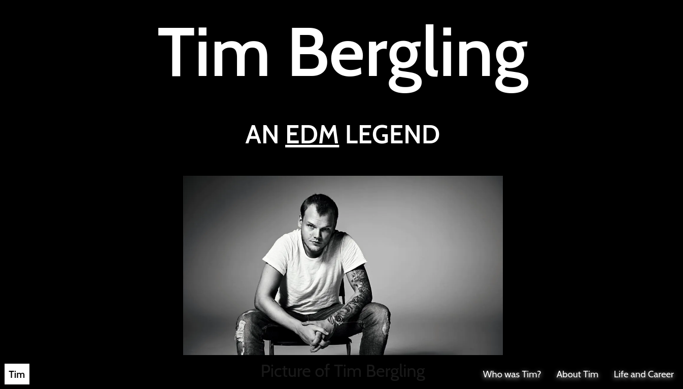 Avicii Tribute Page Project